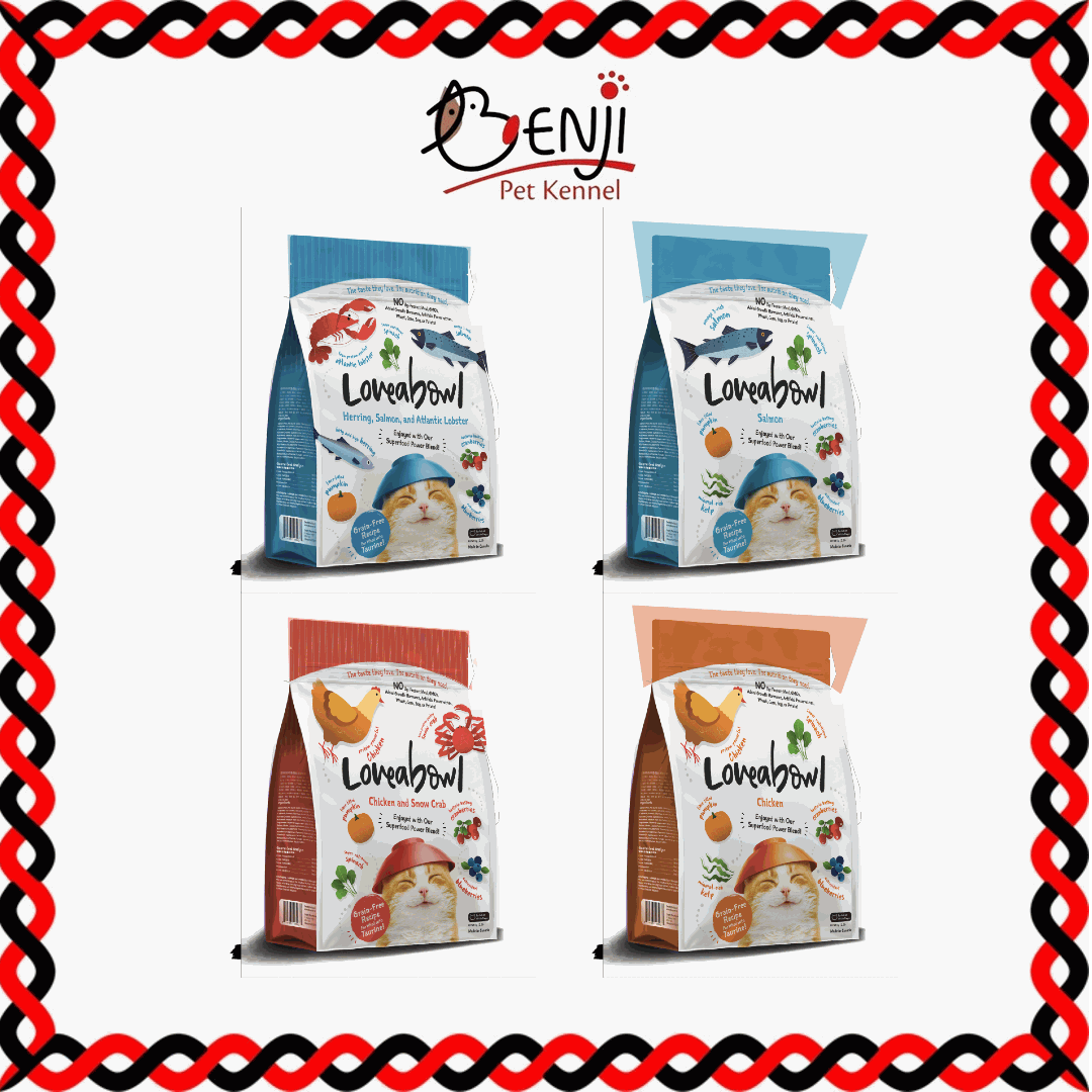 Best Pet Groomer